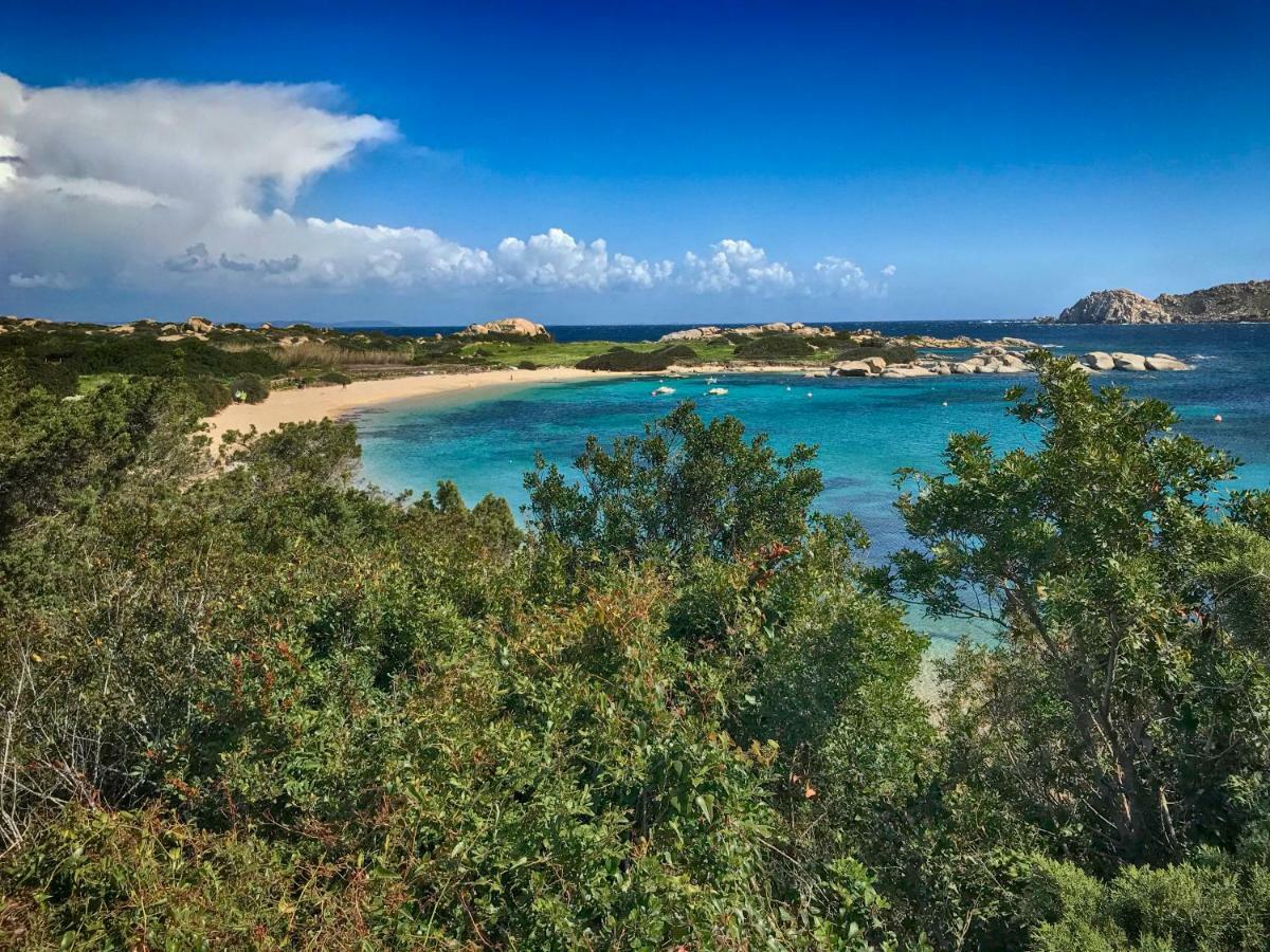 Calipso Lejlighed Santa Teresa Gallura Eksteriør billede
